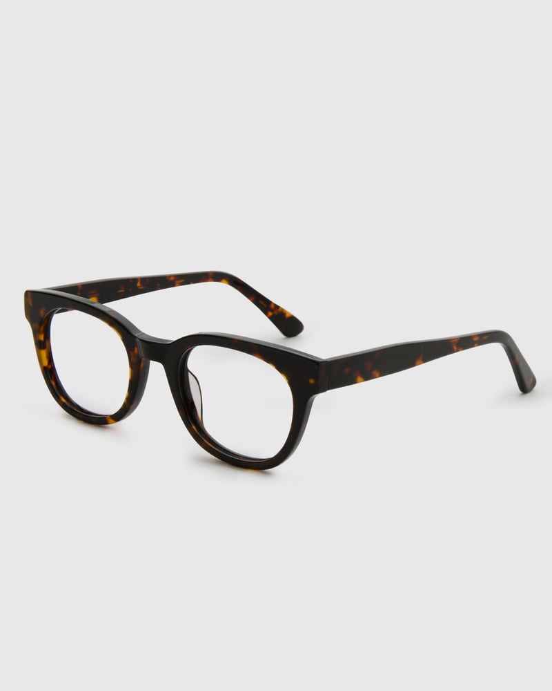 Jamie Turtle Brown Readers