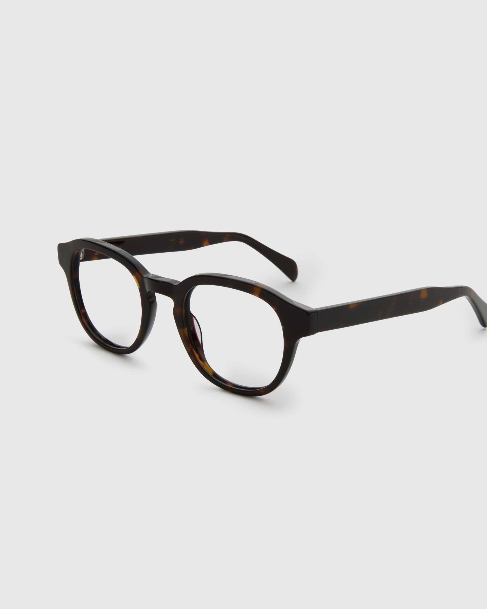 Liam Turtle Brown Readers