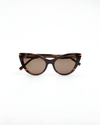 Stella Dark Brown Sunglasses